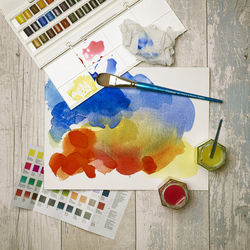 ACQUERELLI COTMAN WINSOR & NEWTON 46 MEZZI GODETS ( COPERCHIO STACCABILE)