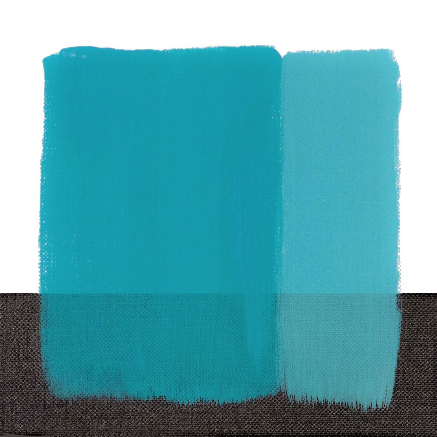 Colori a Olio Van Dyck 60 ml
