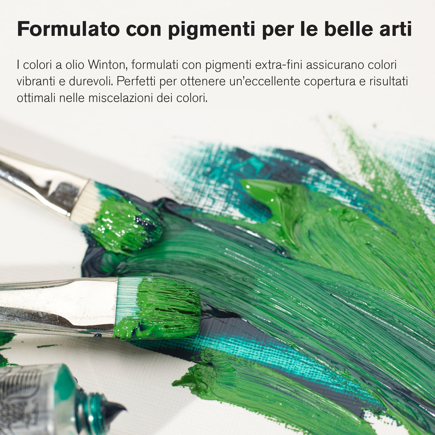 Colori a Olio Winsor&Newton Winton 37ml