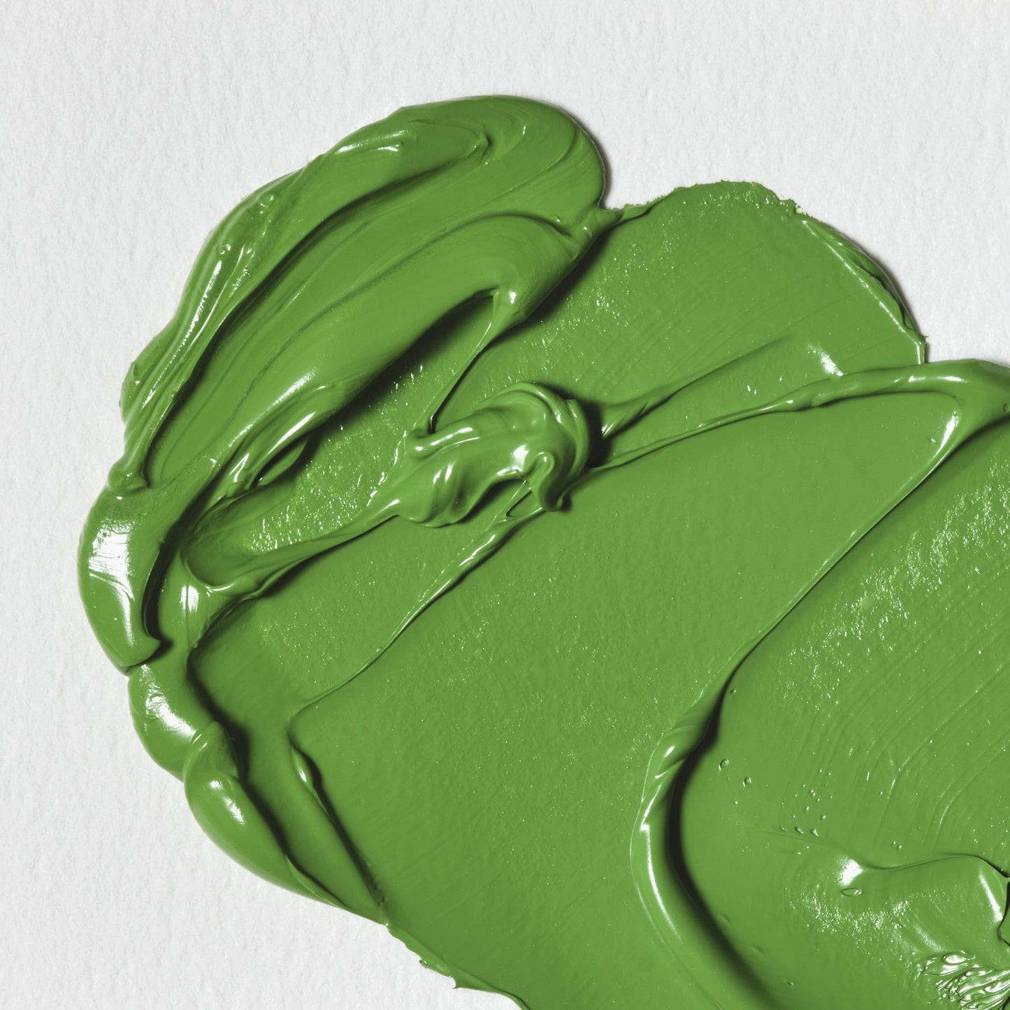 Colori a Olio Winsor&Newton Winton 37ml