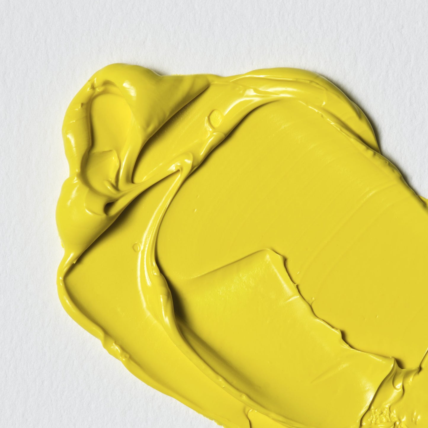 Colori a Olio Winsor&Newton Winton 37ml