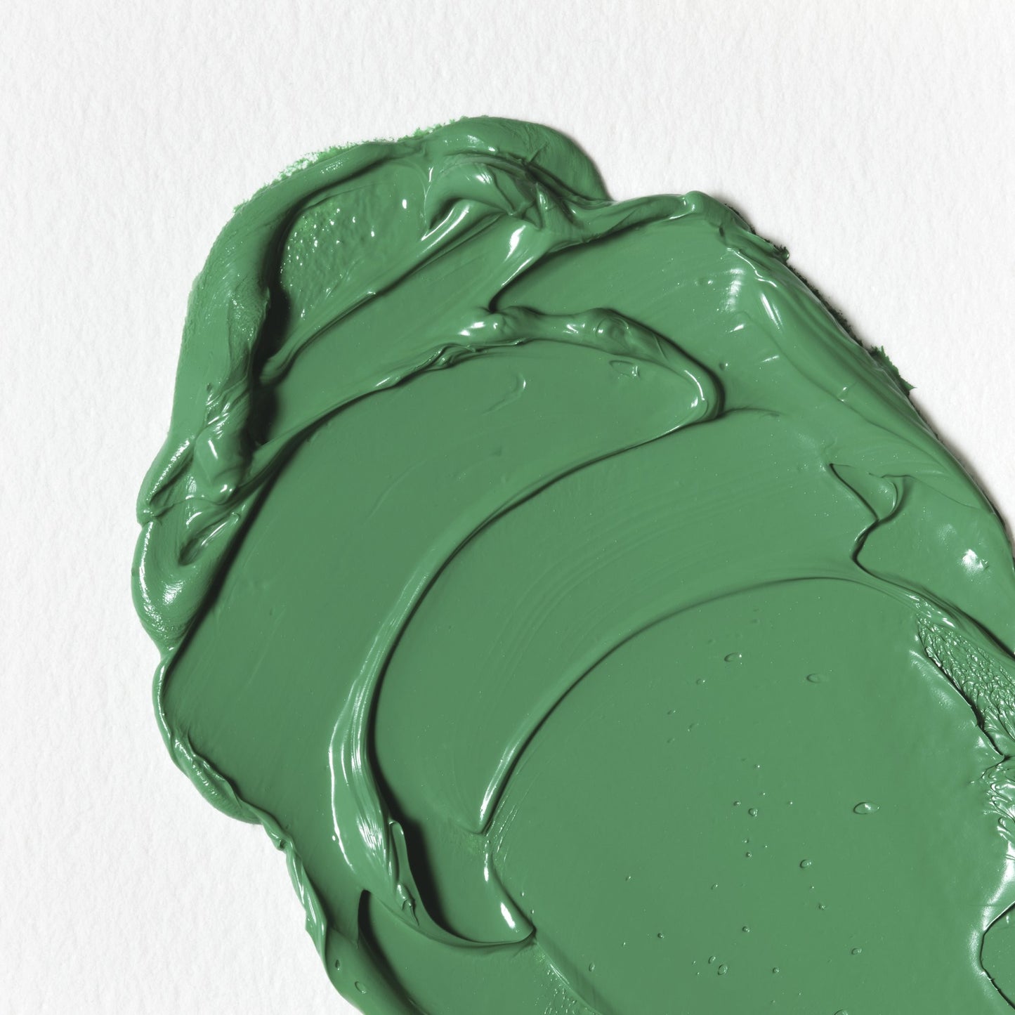 Colori a Olio Winsor&Newton Winton 37ml