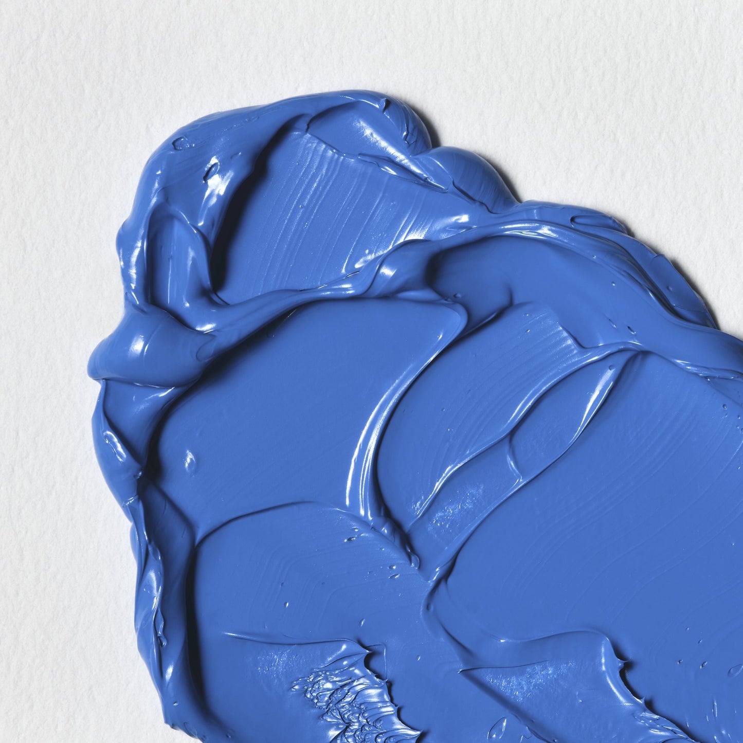 Colori a Olio Winsor&Newton Winton 37ml