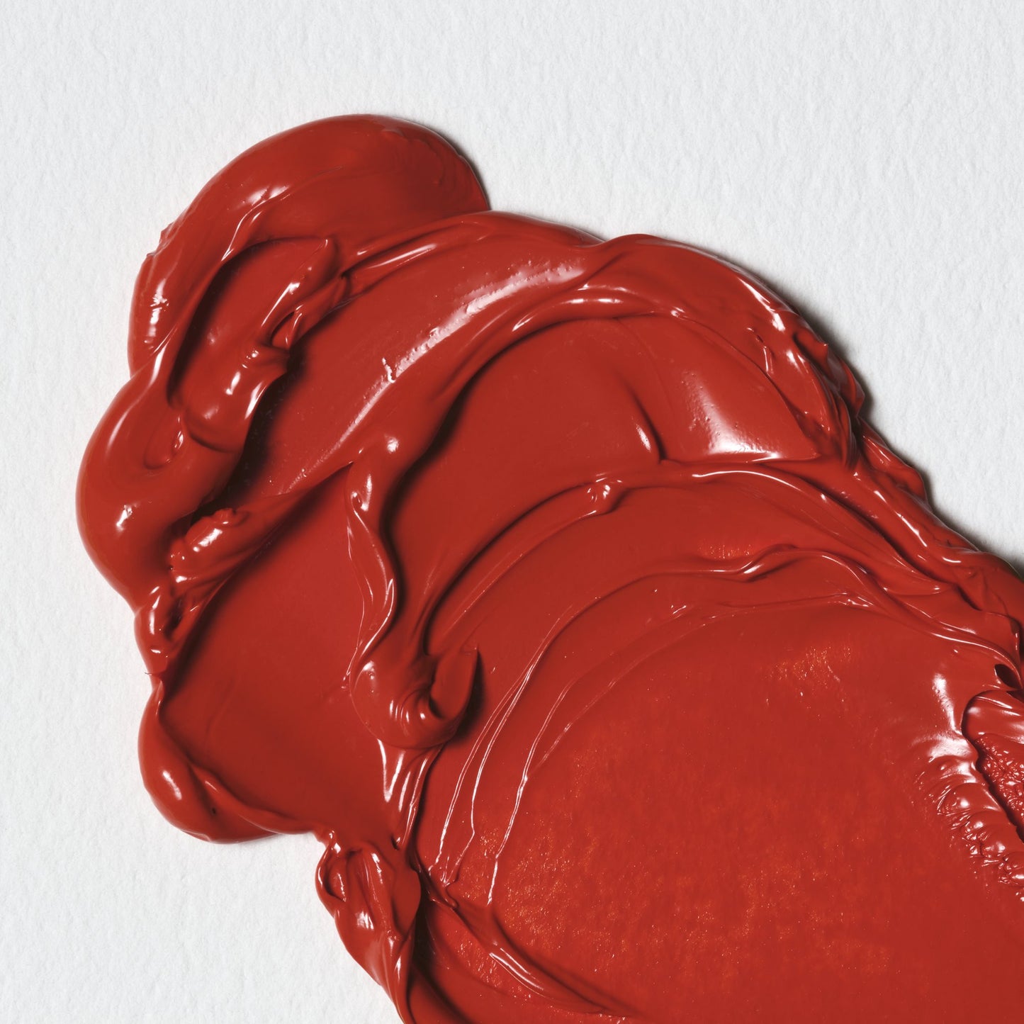 Colori a Olio Winsor&Newton Winton 37ml