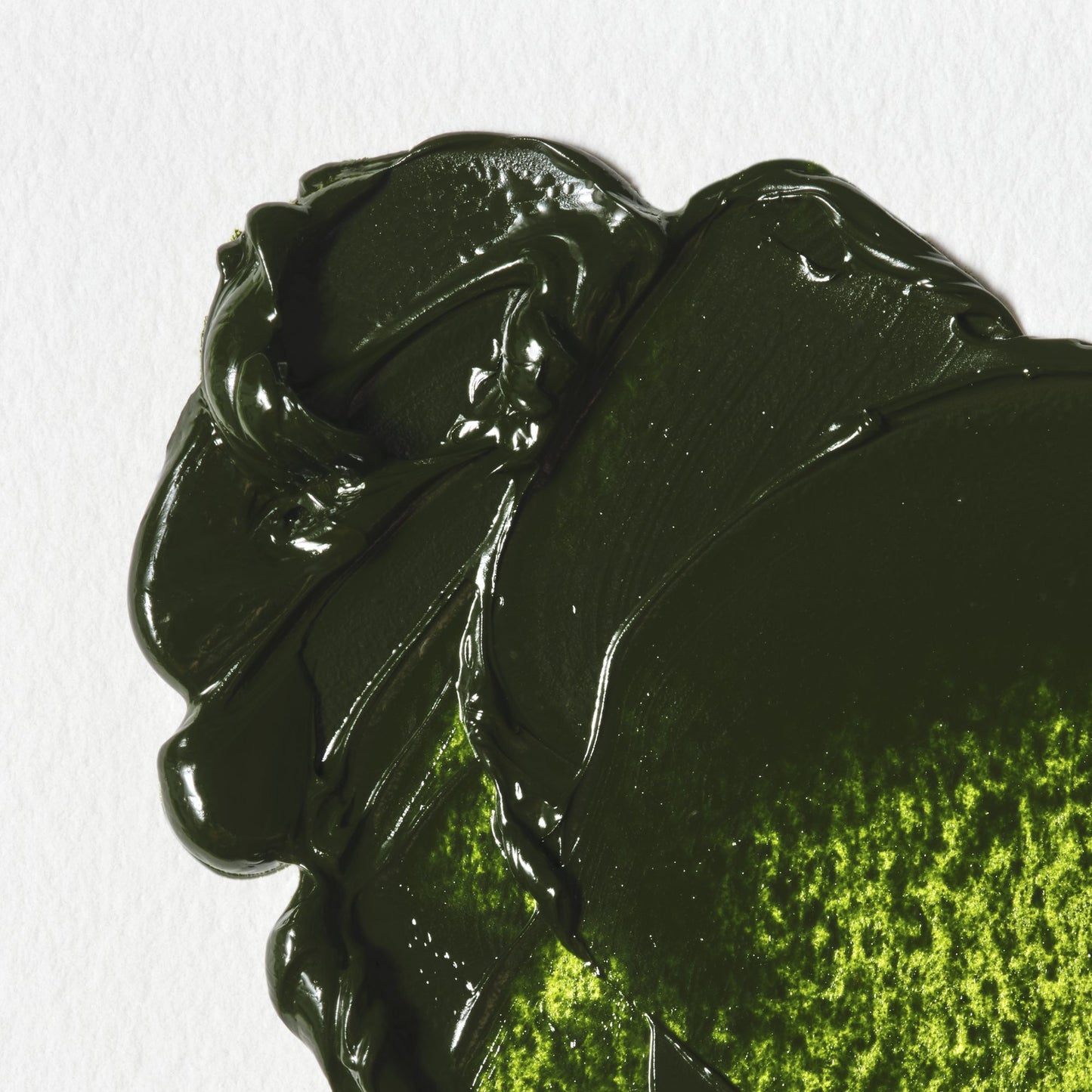 Colori a Olio Winsor&Newton Winton 37ml