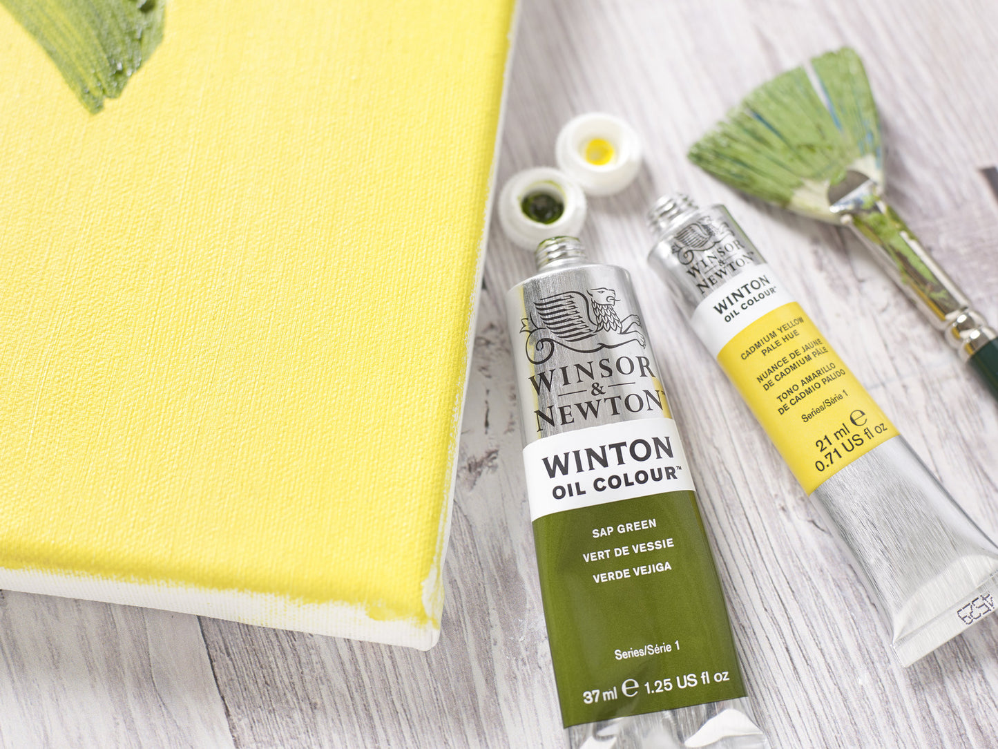 Colori a Olio Winsor&Newton Winton 37ml