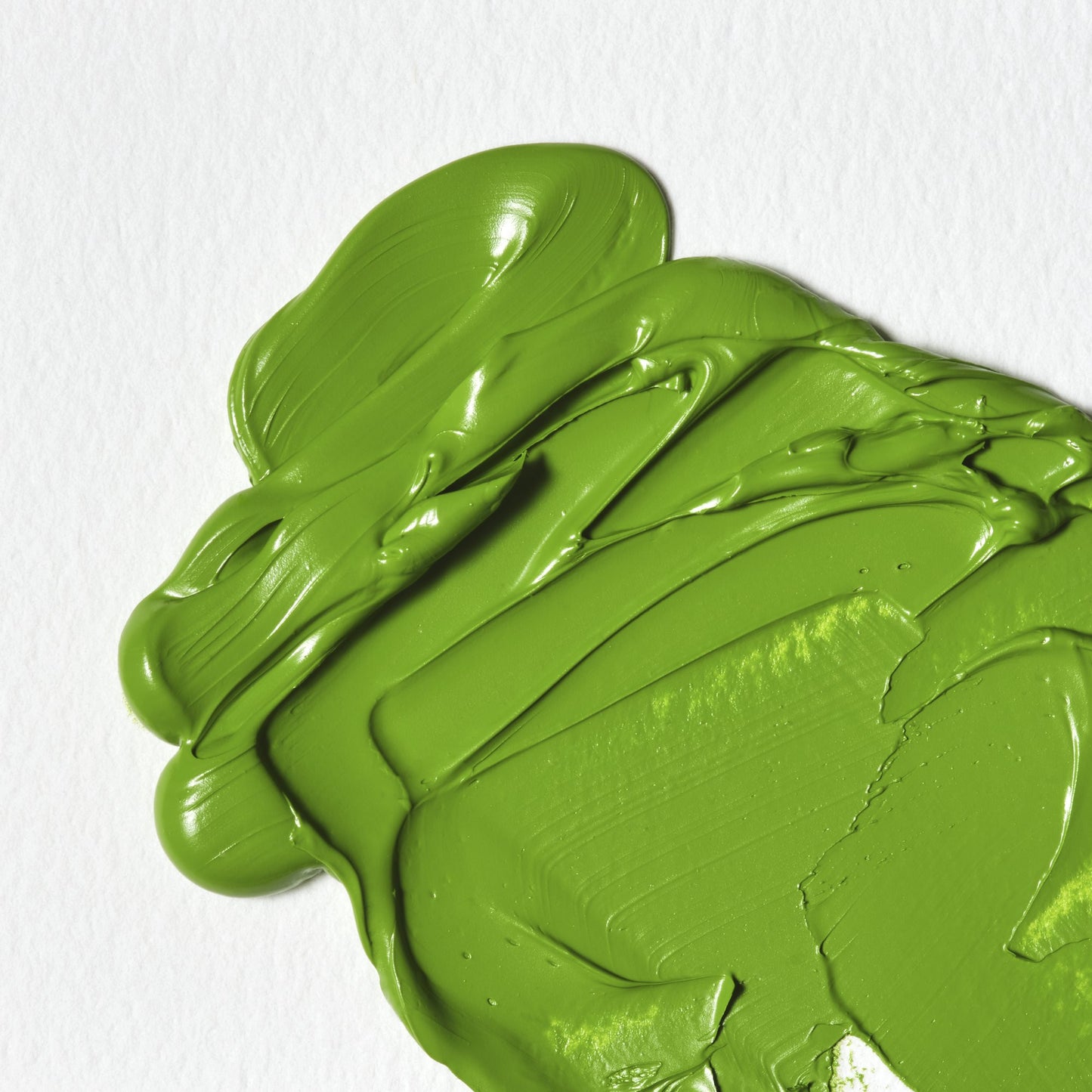 Colori a Olio Winsor&Newton Winton 37ml