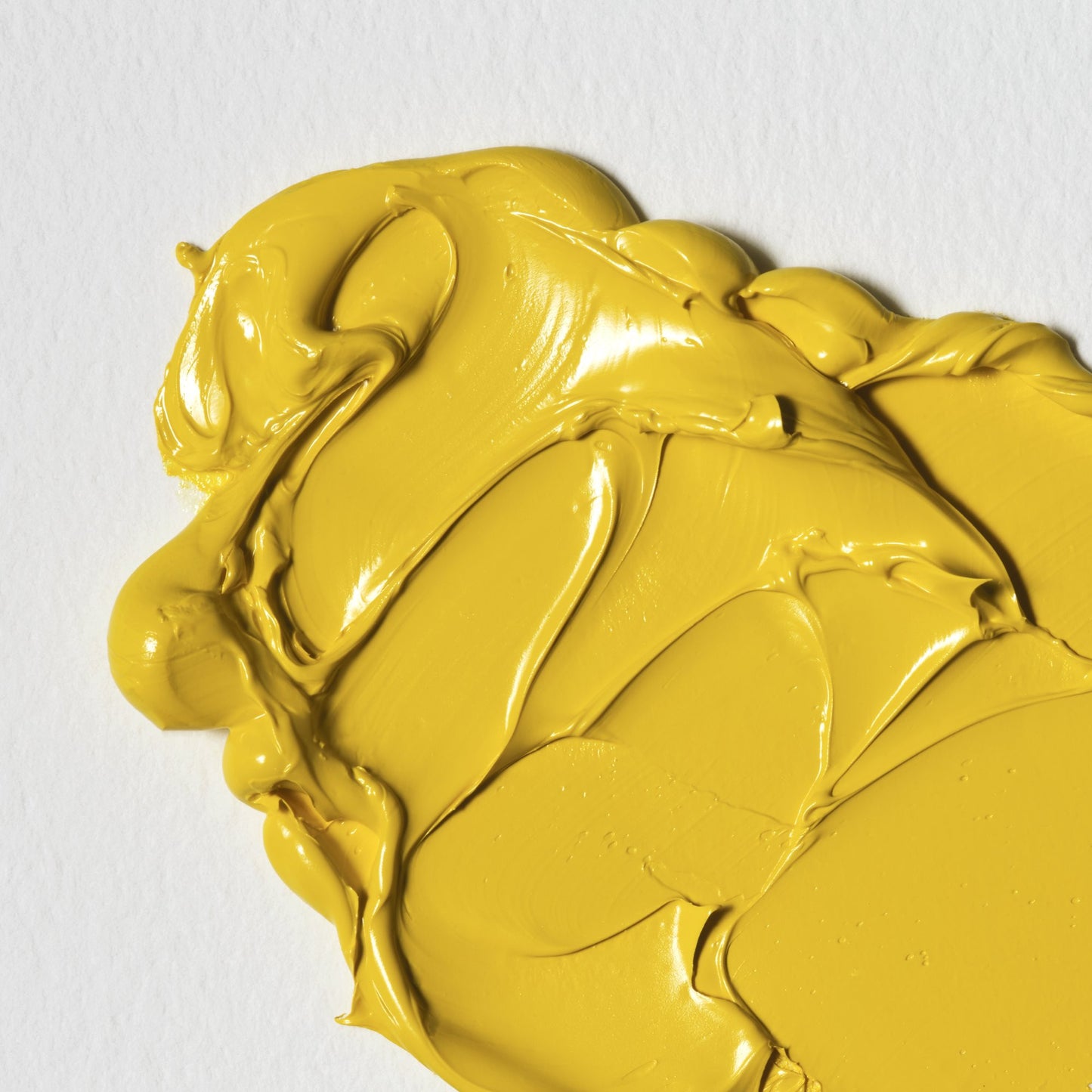 Colori a Olio Winsor&Newton Winton 37ml