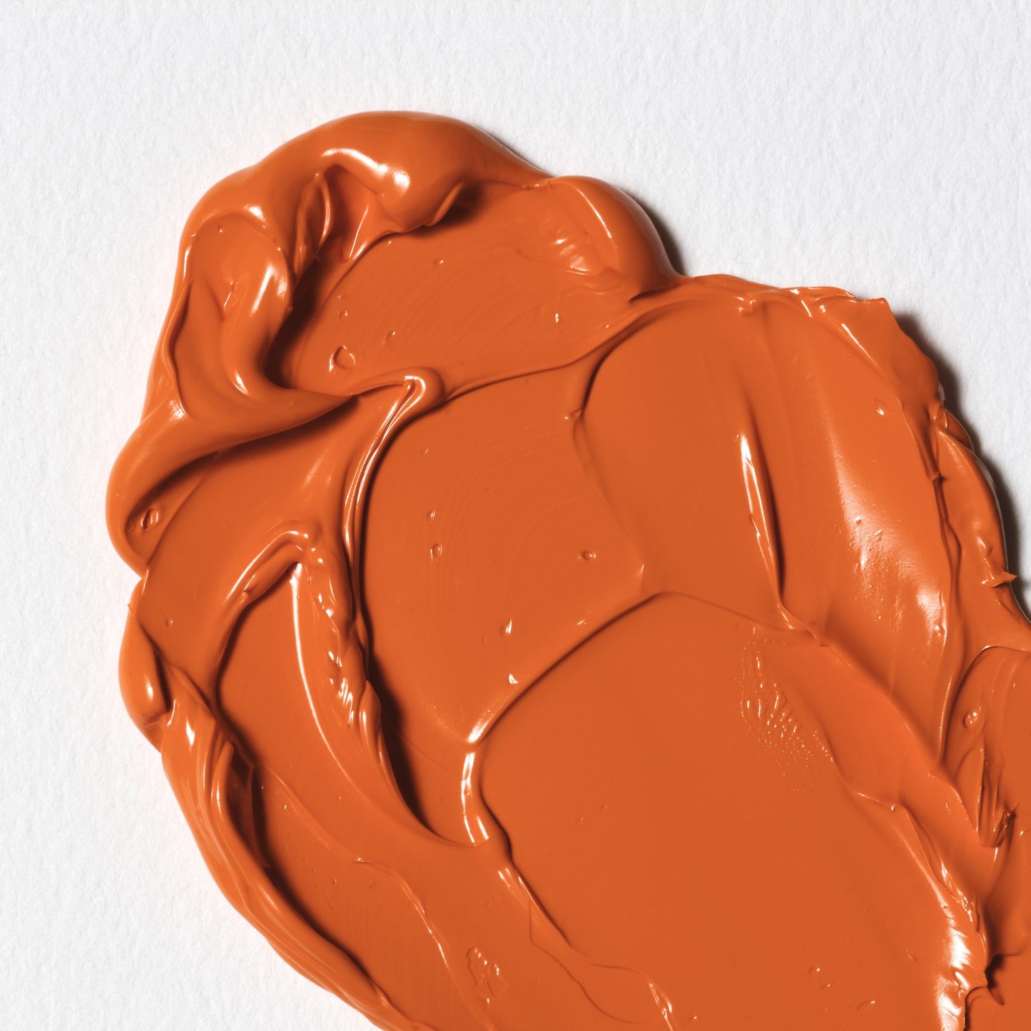Colori a Olio Winsor&Newton Winton 37ml