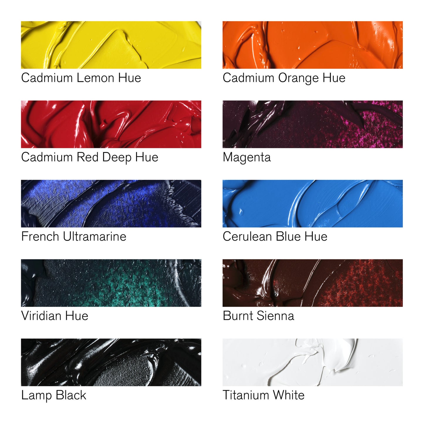Colori a Olio Winsor&Newton Winton 37ml