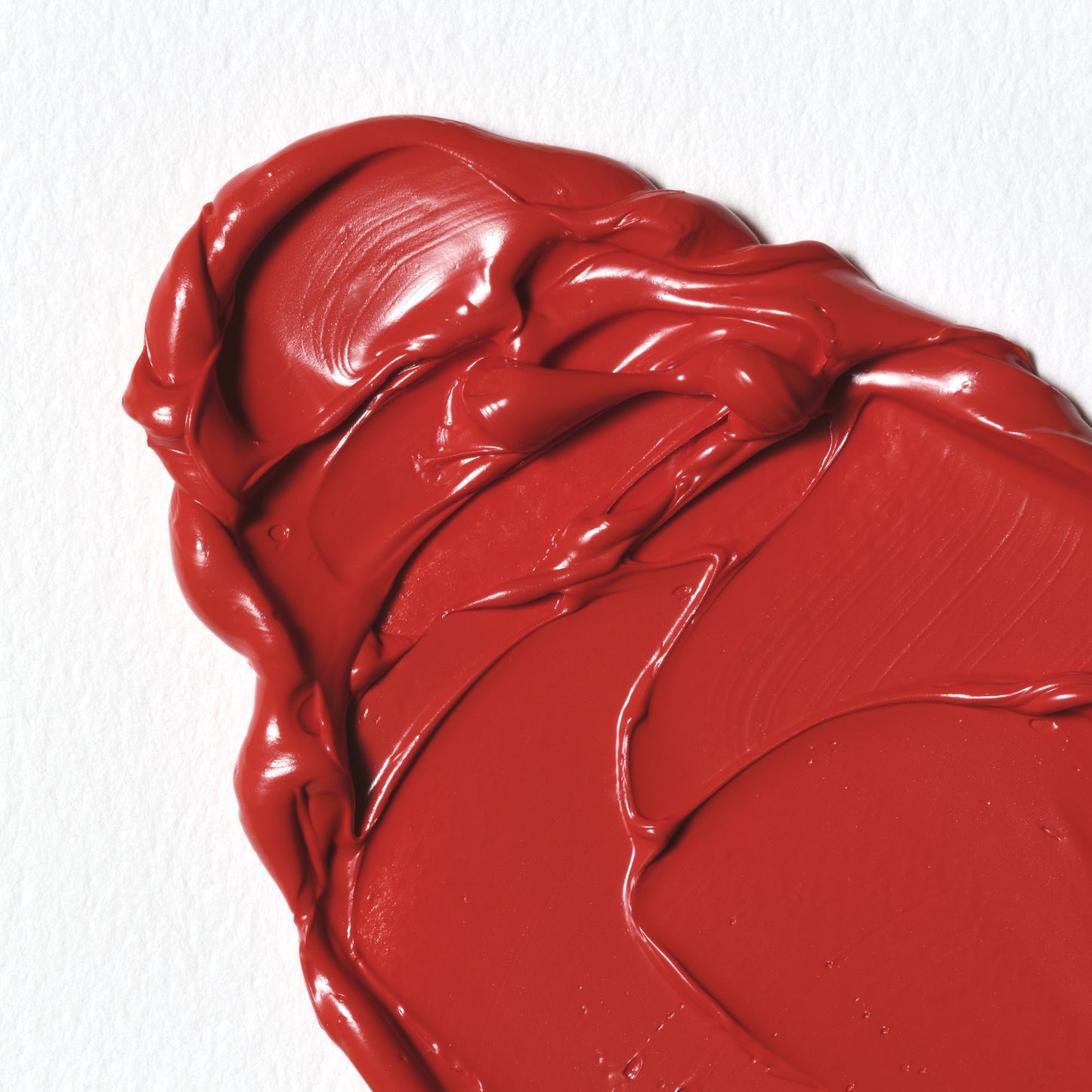 Colori a Olio Winsor&Newton Winton 37ml