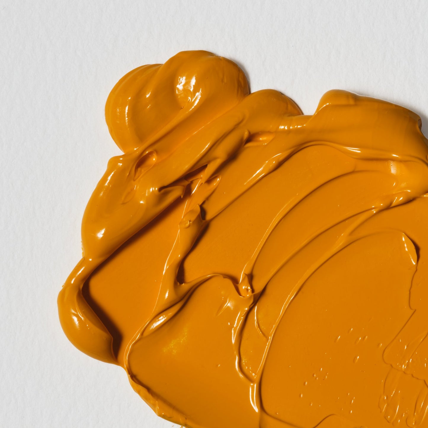 Colori a Olio Winsor&Newton Winton 37ml
