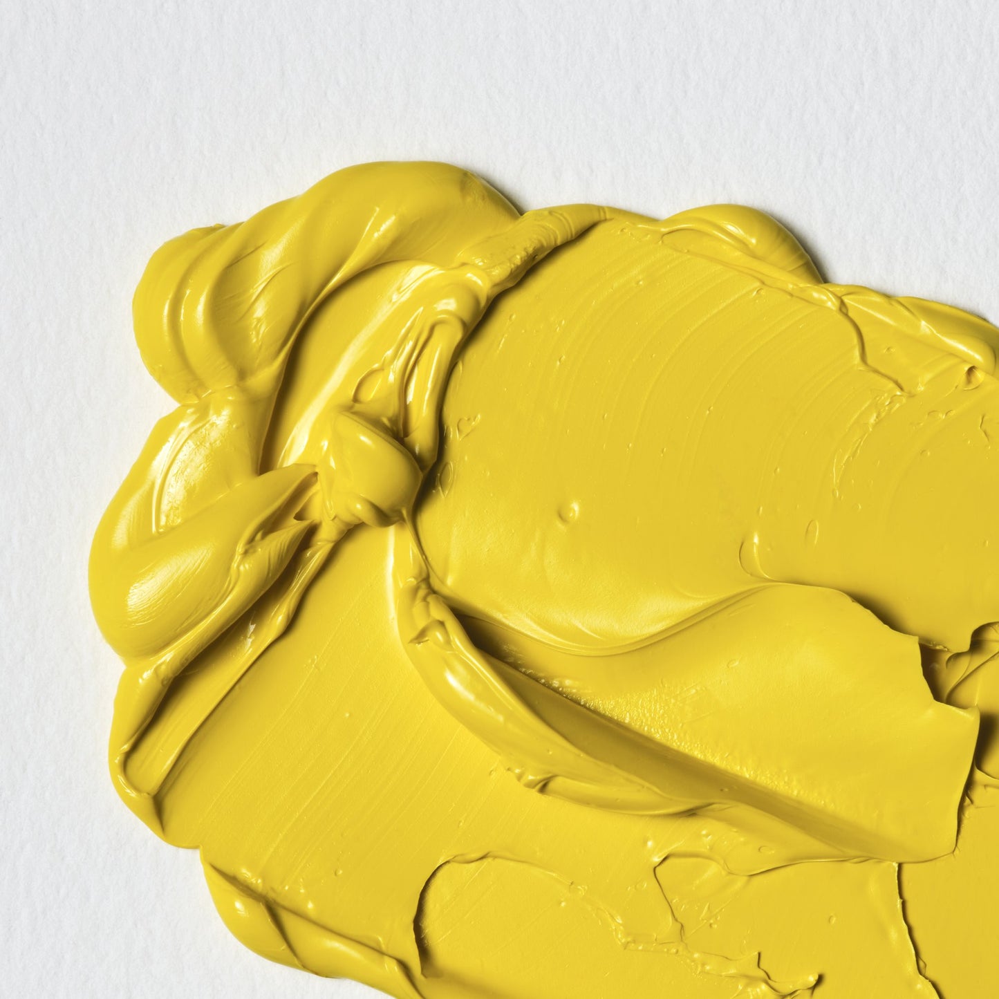Colori a Olio Winsor&Newton Winton 37ml
