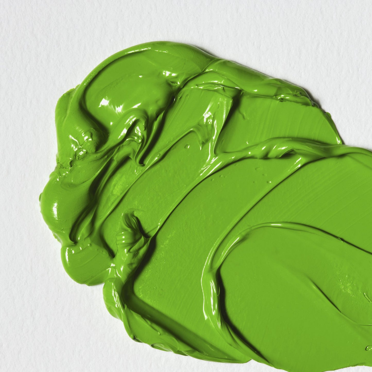 Colori a Olio Winsor&Newton Winton 37ml