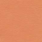 Confezione 25 cartoncini Bazzill classico formato 30,5x30,5 (216 gr circa) - Apricot