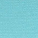 Confezione 25 cartoncini Bazzill classico formato 30,5x30,5 (216 gr circa) - Atlantic