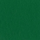 Confezione 25 cartoncini Bazzill classico formato 30,5x30,5 (216 gr circa) - Classic Green