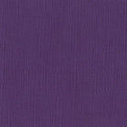 Confezione 25 cartoncini Bazzill classico formato 30,5x30,5 (216 gr circa) - Jubilee