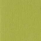 Confezione 25 cartoncini Bazzill classico formato 30,5x30,5 (216 gr circa) - Lizard