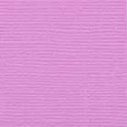 Confezione 25 cartoncini Bazzill classico formato 30,5x30,5 (216 gr circa) - Petunia