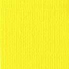 Confezione 25 cartoncini Bazzill classico formato 30,5x30,5 (216 gr circa) - Sunbeam