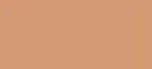 Copic Ciao Caribe Cocoa, E25