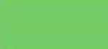 Copic Ciao Nile Green, G07