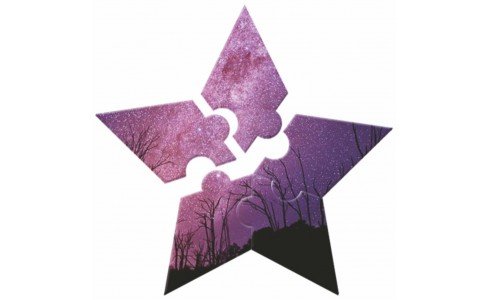 Fustella alta acciaio Wiler - PUZZLE STELLA- SRD021