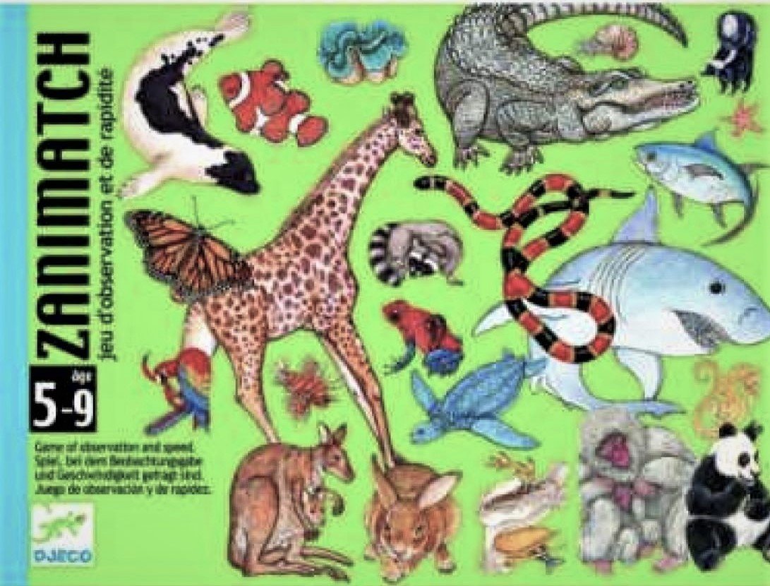 Gioco Djeco Carte Zanimatch DJ05153