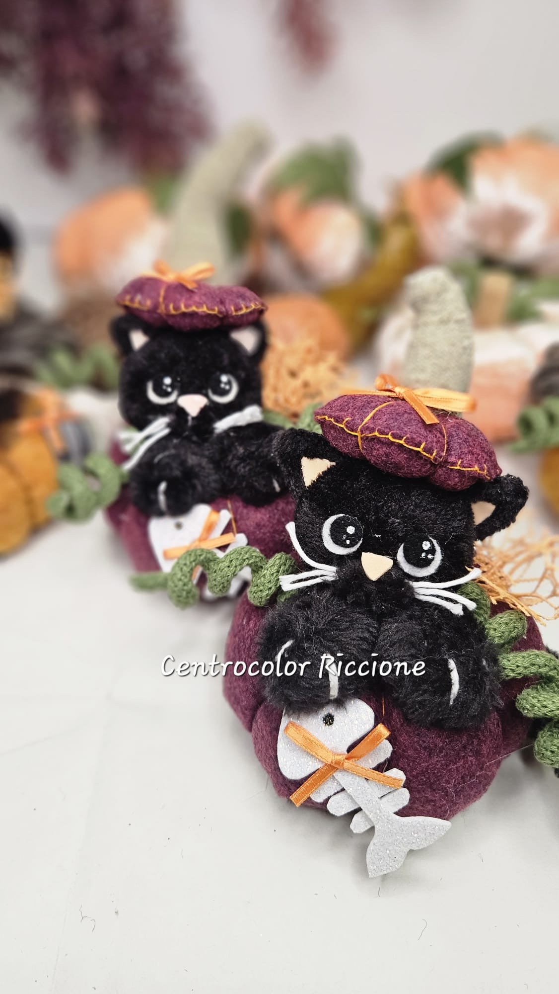 Kit Gatto e Streghetta halloween