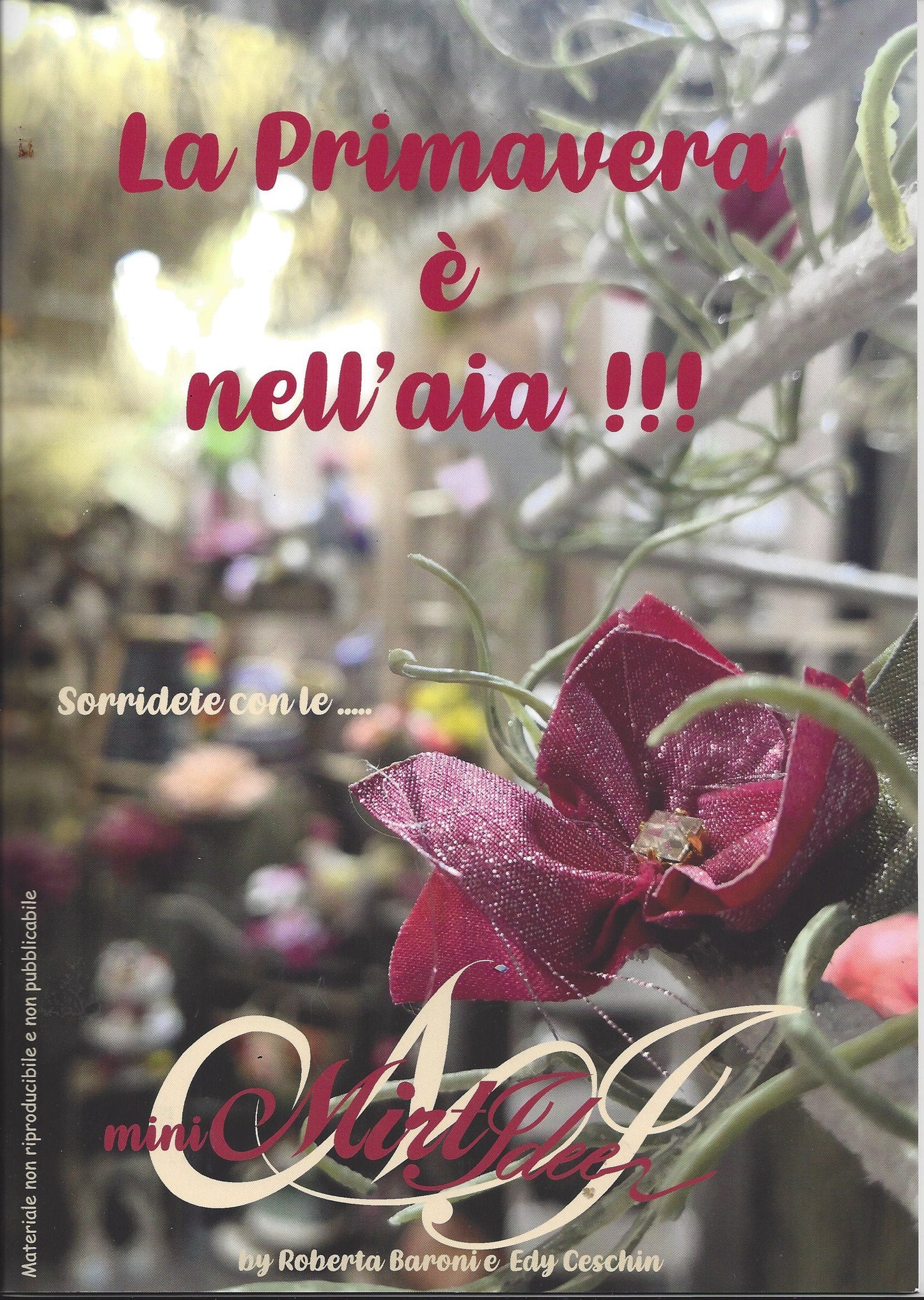 Libro progetti I nastri di Mirta La primavera è nell'aia