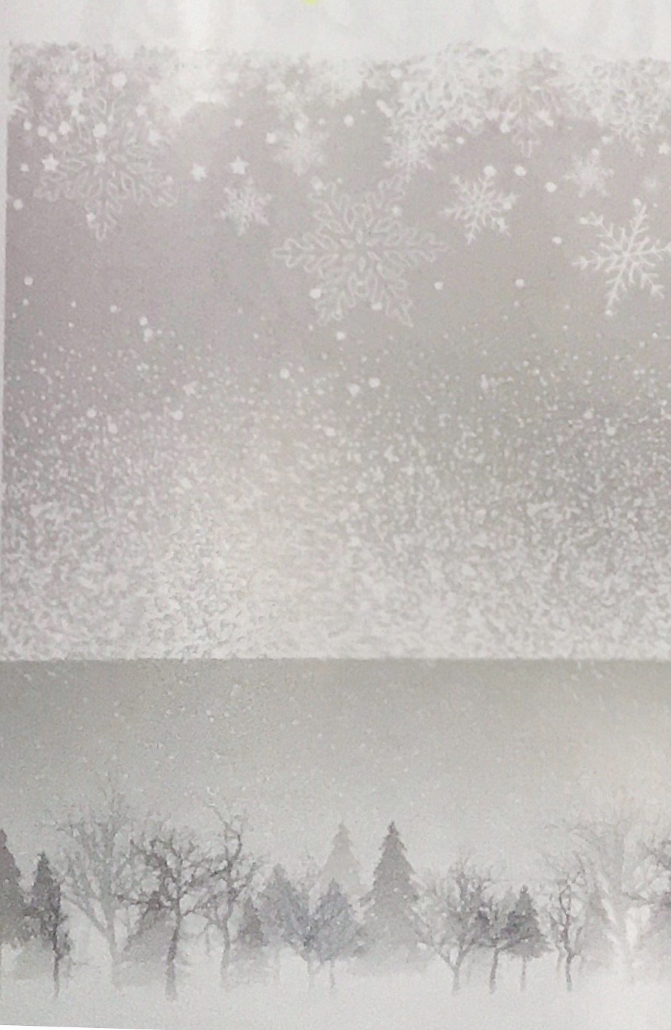 Pannolencio "Morbidoso" Fantasia boschi innevati  grigio- FCDECO05-0GR