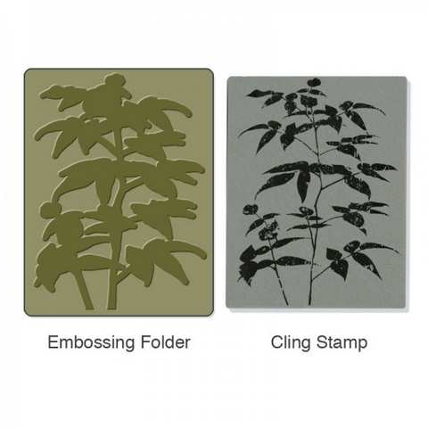 Sizzix Textured Impressions Embossing Folder w/Stamp - Artistic Fern Set 657764