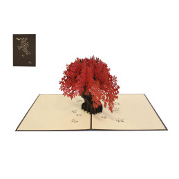 Biglietto KIRIGAMI  Pop Up...
