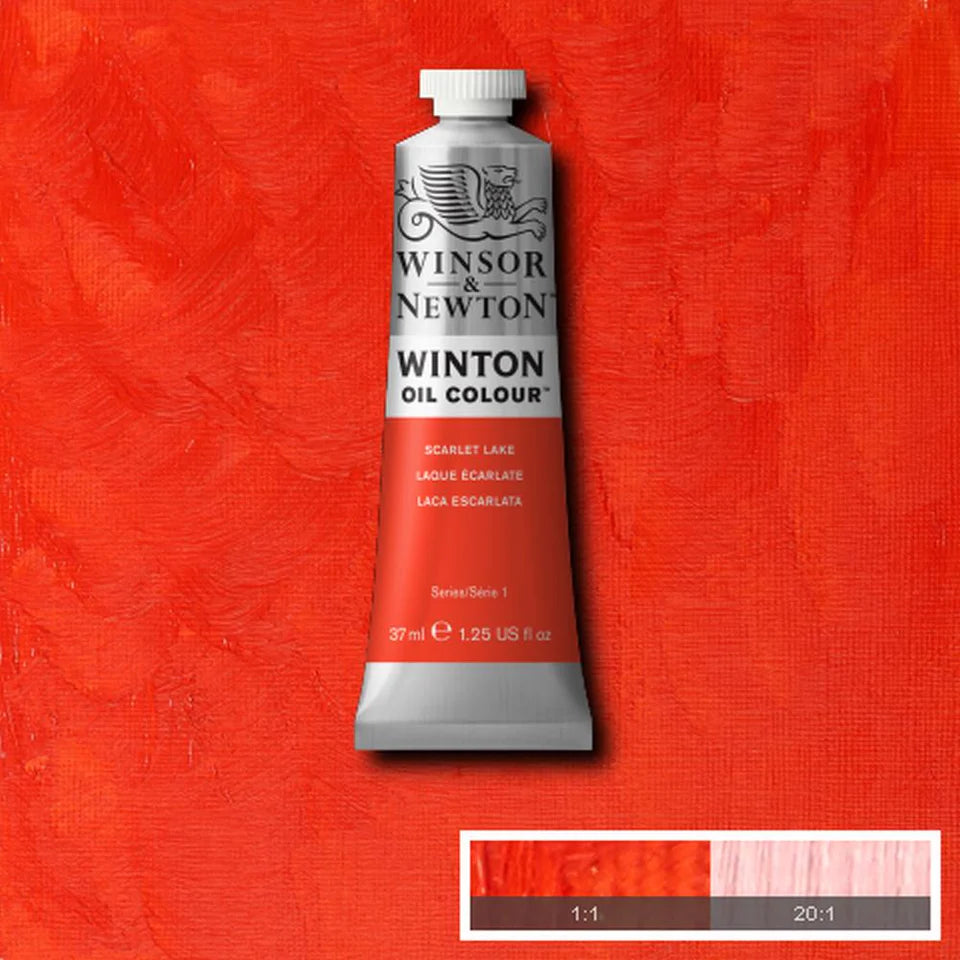 Colori a Olio Winsor&Newton Winton