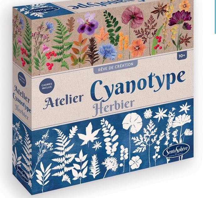 Atelier Cyanotype Herbier