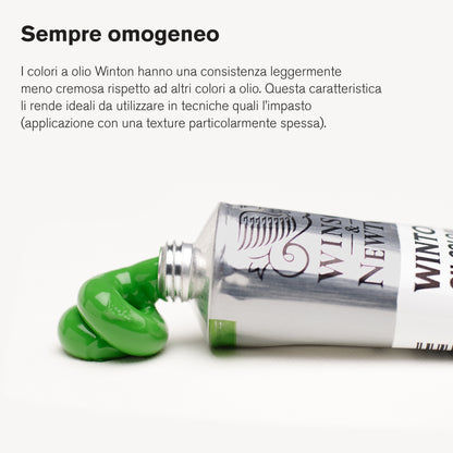 Colori a Olio Winsor&Newton Winton