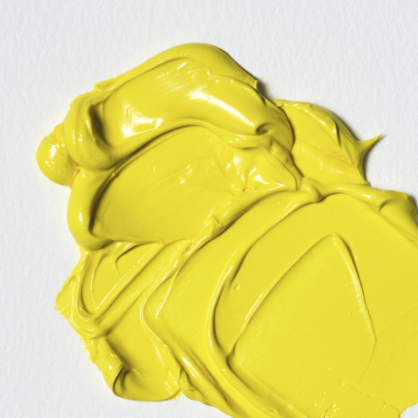 Colori a Olio Winsor&Newton Winton 37ml