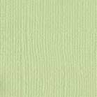 Confezione 25 cartoncini Bazzill classico formato 30,5x30,5 (216 gr circa) - Aloe Vera