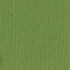 Confezione 25 cartoncini Bazzill classico formato 30,5x30,5 (216 gr circa) - Leapfrog