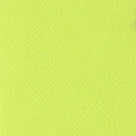 Confezione 25 cartoncini Bazzill classico formato 30,5x30,5 (216 gr circa) - Limeade