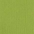 Confezione 25 cartoncini Bazzill classico formato 30,5x30,5 (216 gr circa) - Parakeet