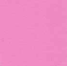 Confezione 25 cartoncini Bazzill classico formato 30,5x30,5 (216 gr circa) - Piglet