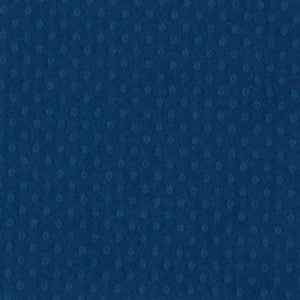 Confezione 25 cartoncini Bazzill puntinato formato 30,5x30,5 (216 gr circa) - Neptune