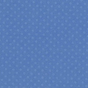 Confezione 25 cartoncini Bazzill puntinato formato 30,5x30,5 (216 gr circa) - Rip Tide