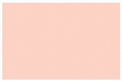 Copic Ciao Flesh, R02