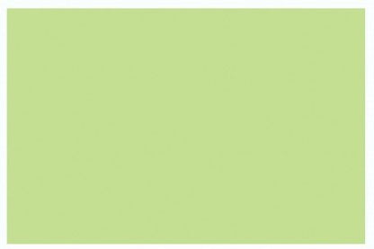 Copic Ciao Yellowish Green, YG06