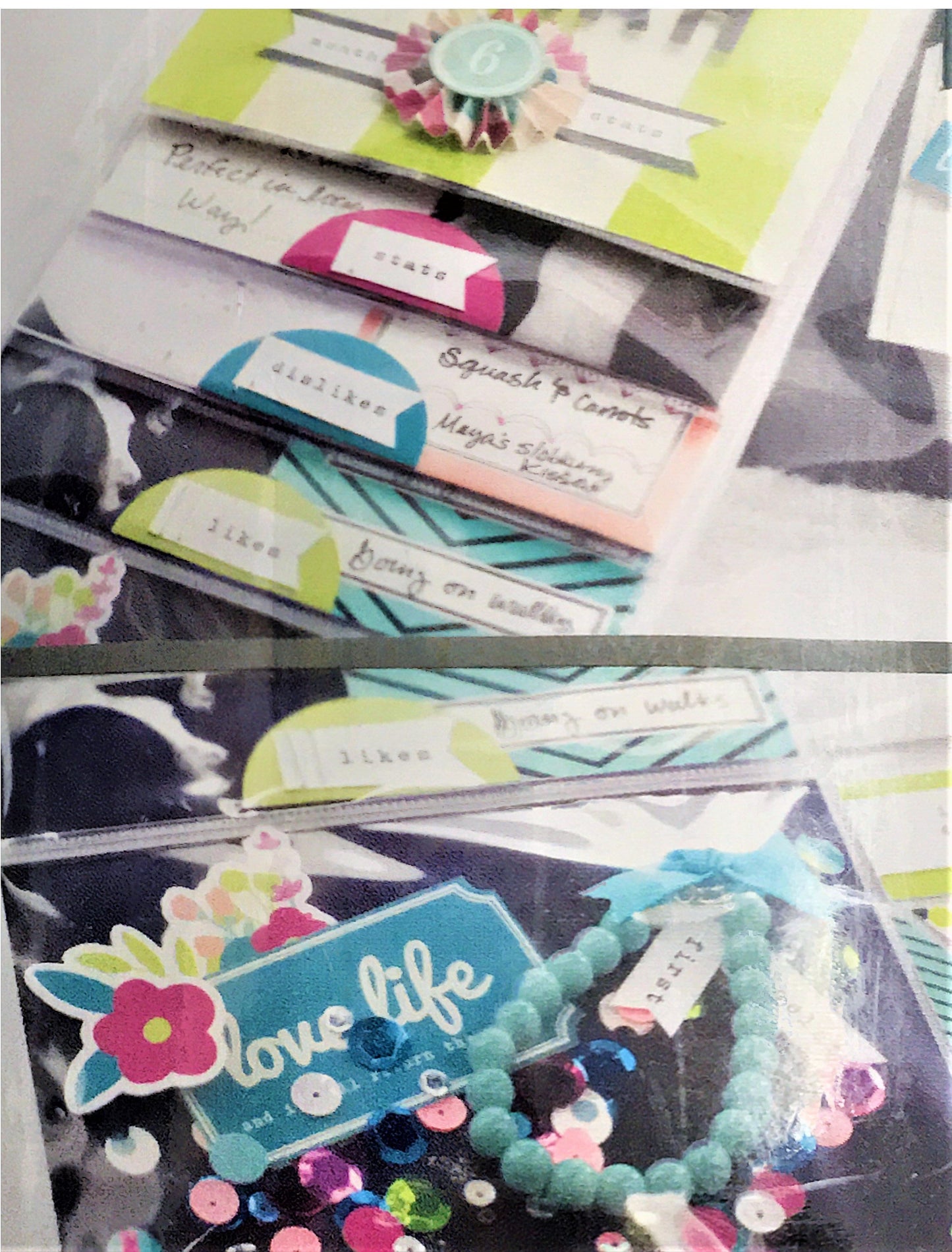 Crea copertine per foto - Fuse Photo Sleeve Tool - We R -  662531