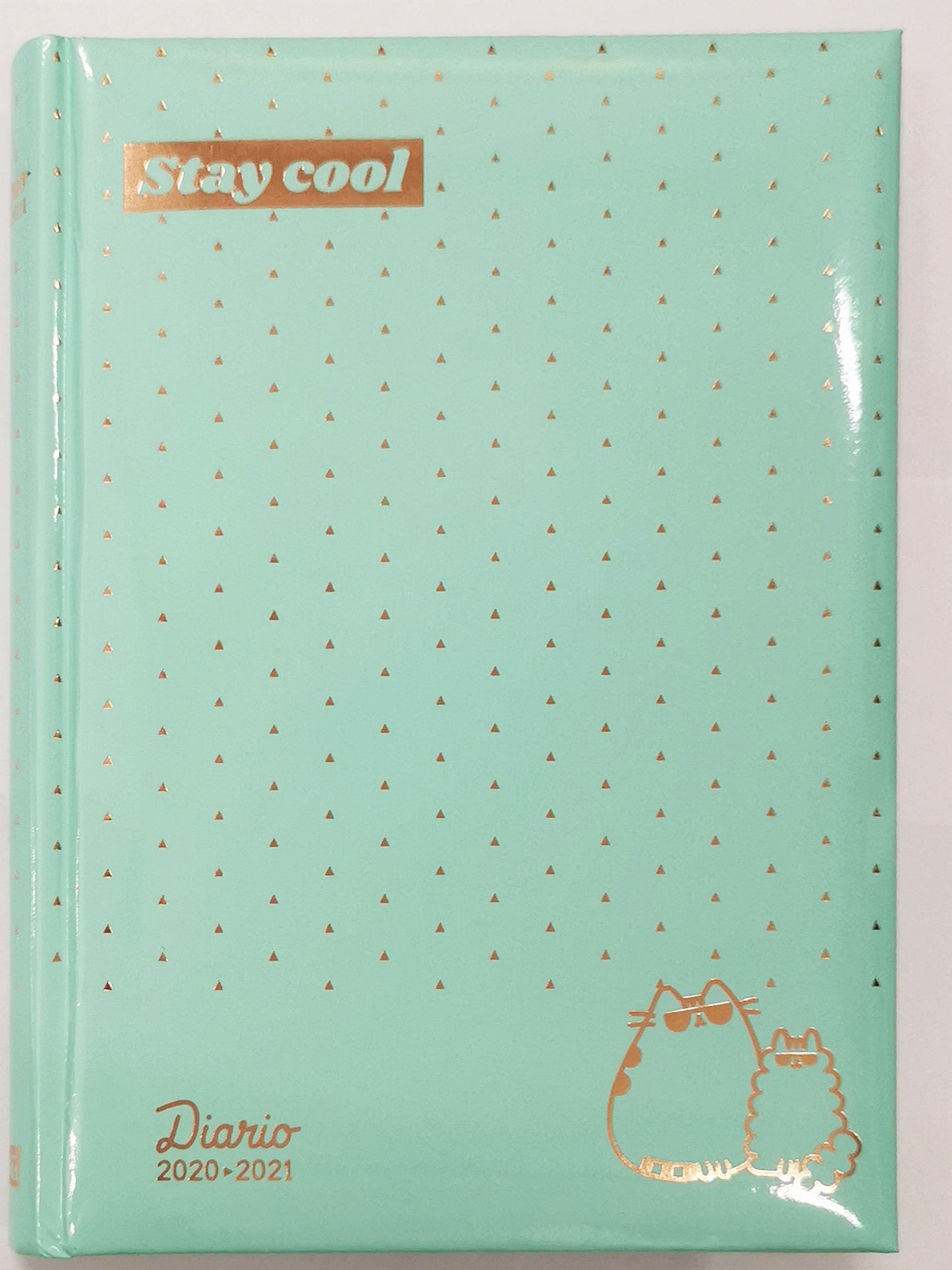 Diario 2020 - 2021 Pusheen Sparlkling Gold Tiffani S100432