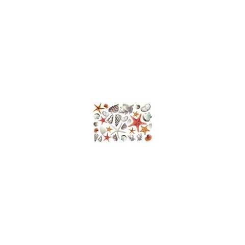 FOMMY DECO' tema conchigliecm.20x30 cf.1pz. (GDTEM006)